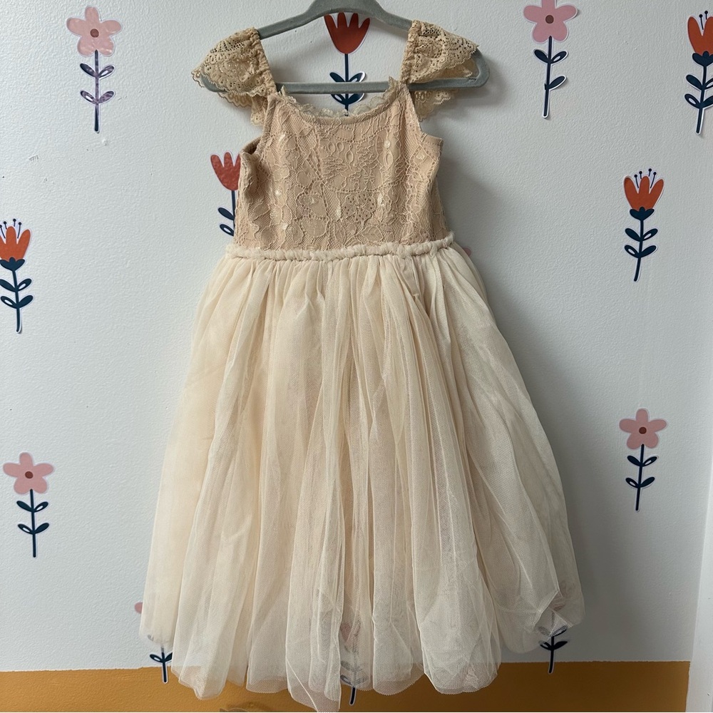 Noralee Camilla Lace and Tulle Dress NWT